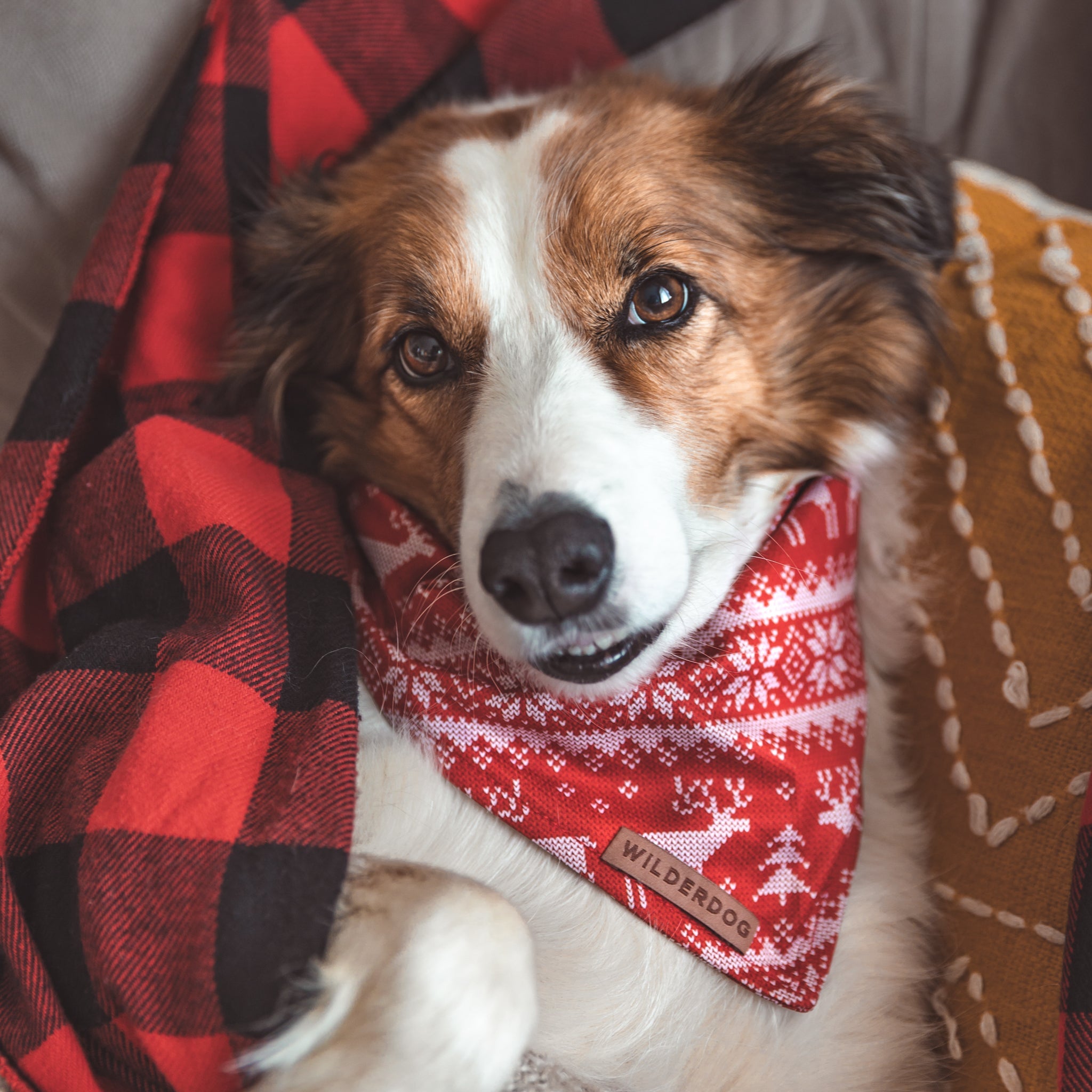 Ugly Sweater Bandana