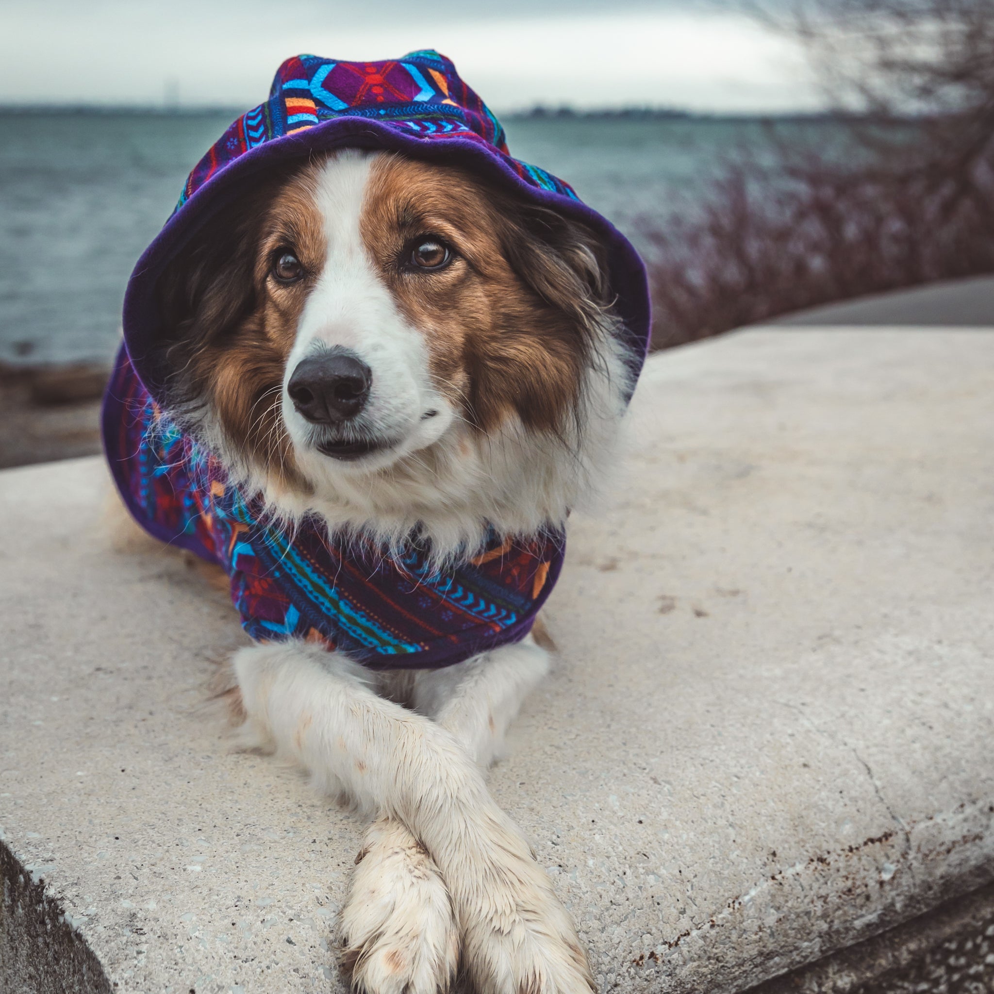 Big Sky Fleece Jacket