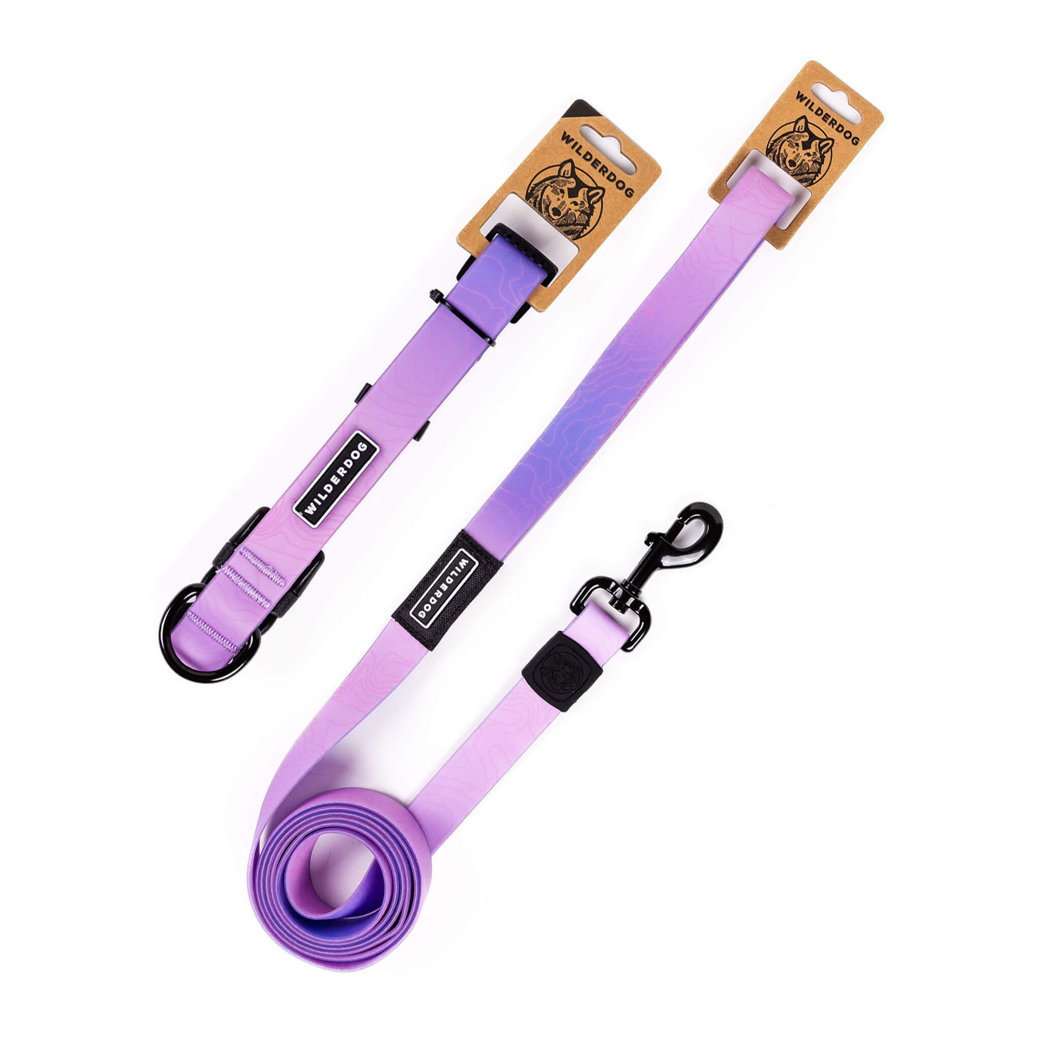 Aurora Waterproof Leash + Collar Bundle