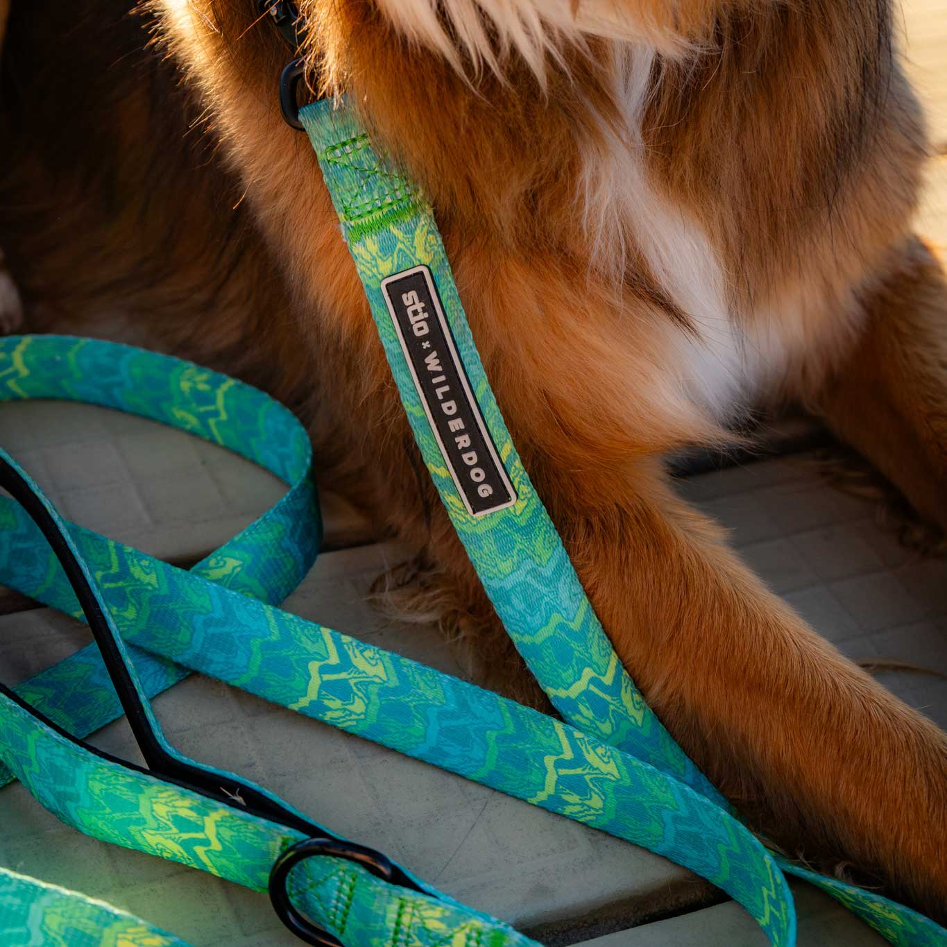 Wilderdog x Stio Ultralight Leash