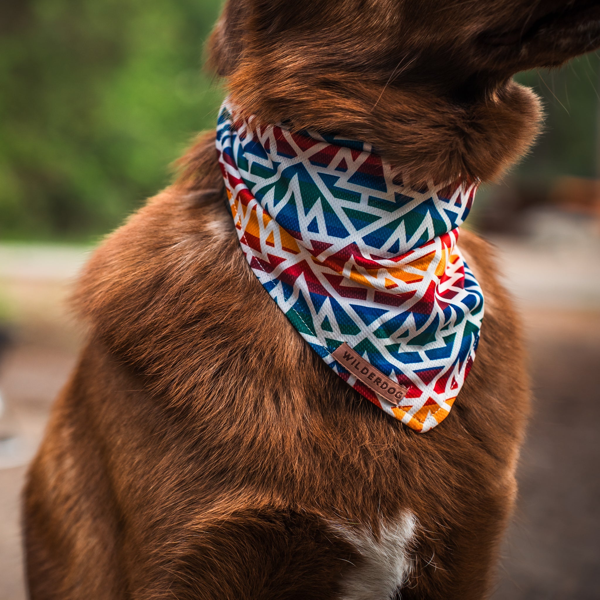 Rainbow Bandana