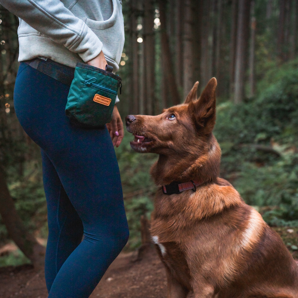 Dog Training Treat Pouch