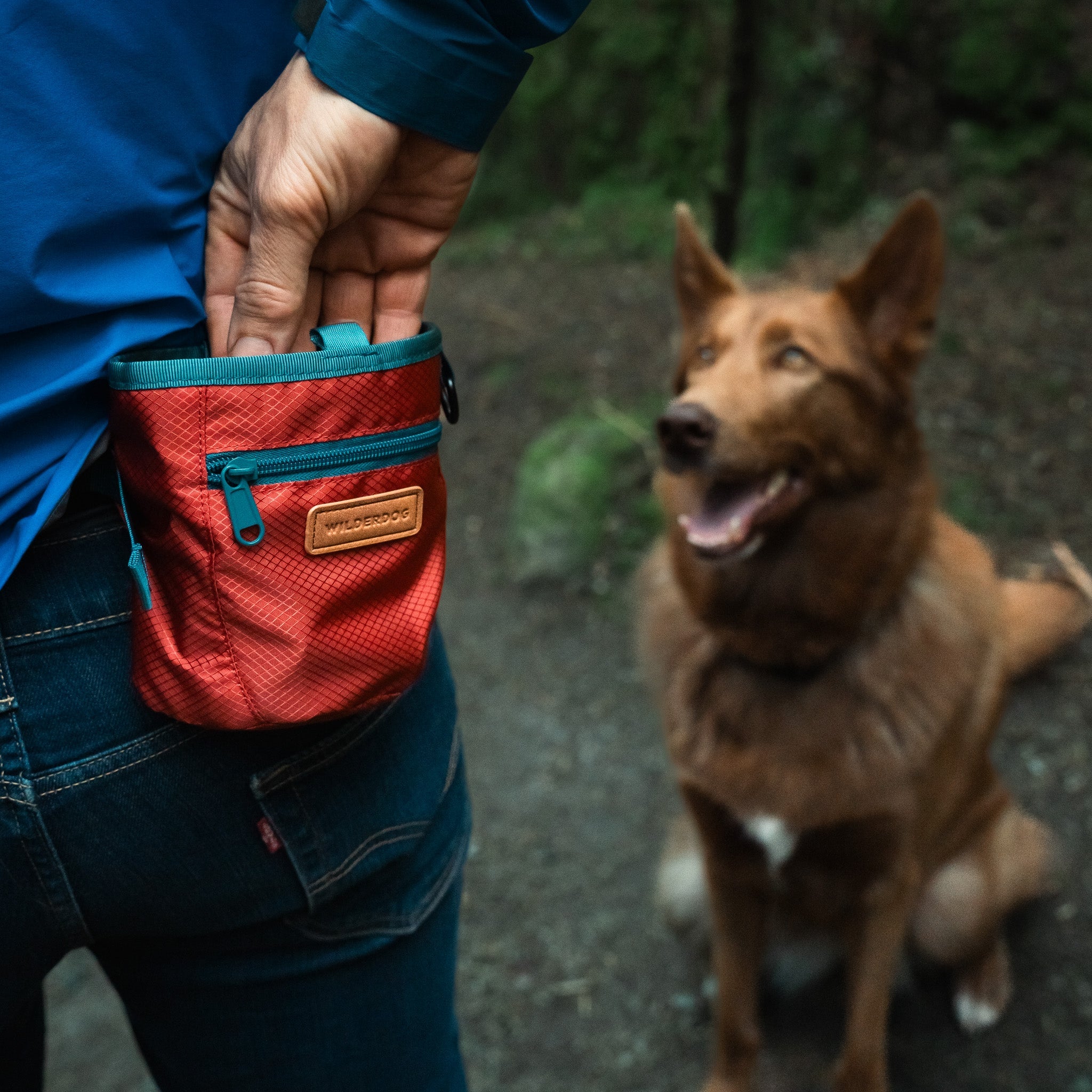 Dog Training Treat Pouch