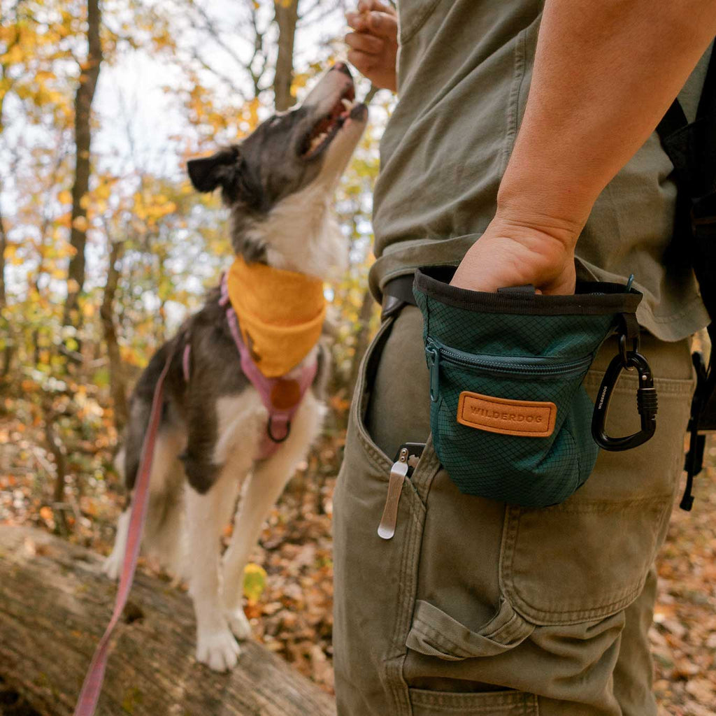 Dog Training Treat Pouch