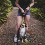 Dog Training Treat Pouch