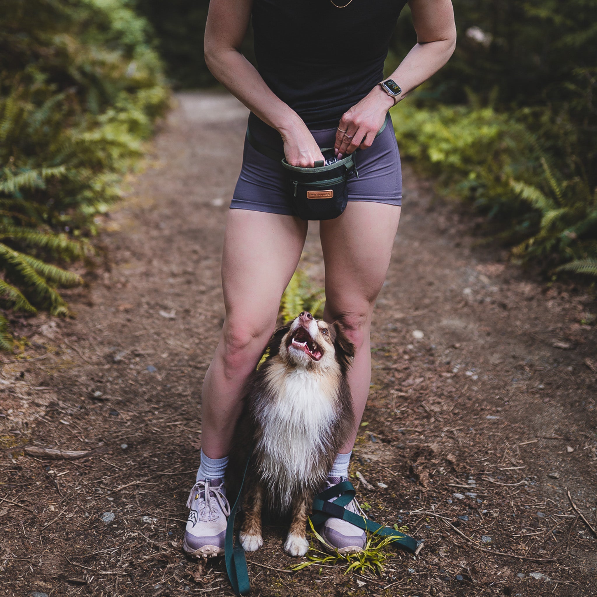 Dog Training Treat Pouch