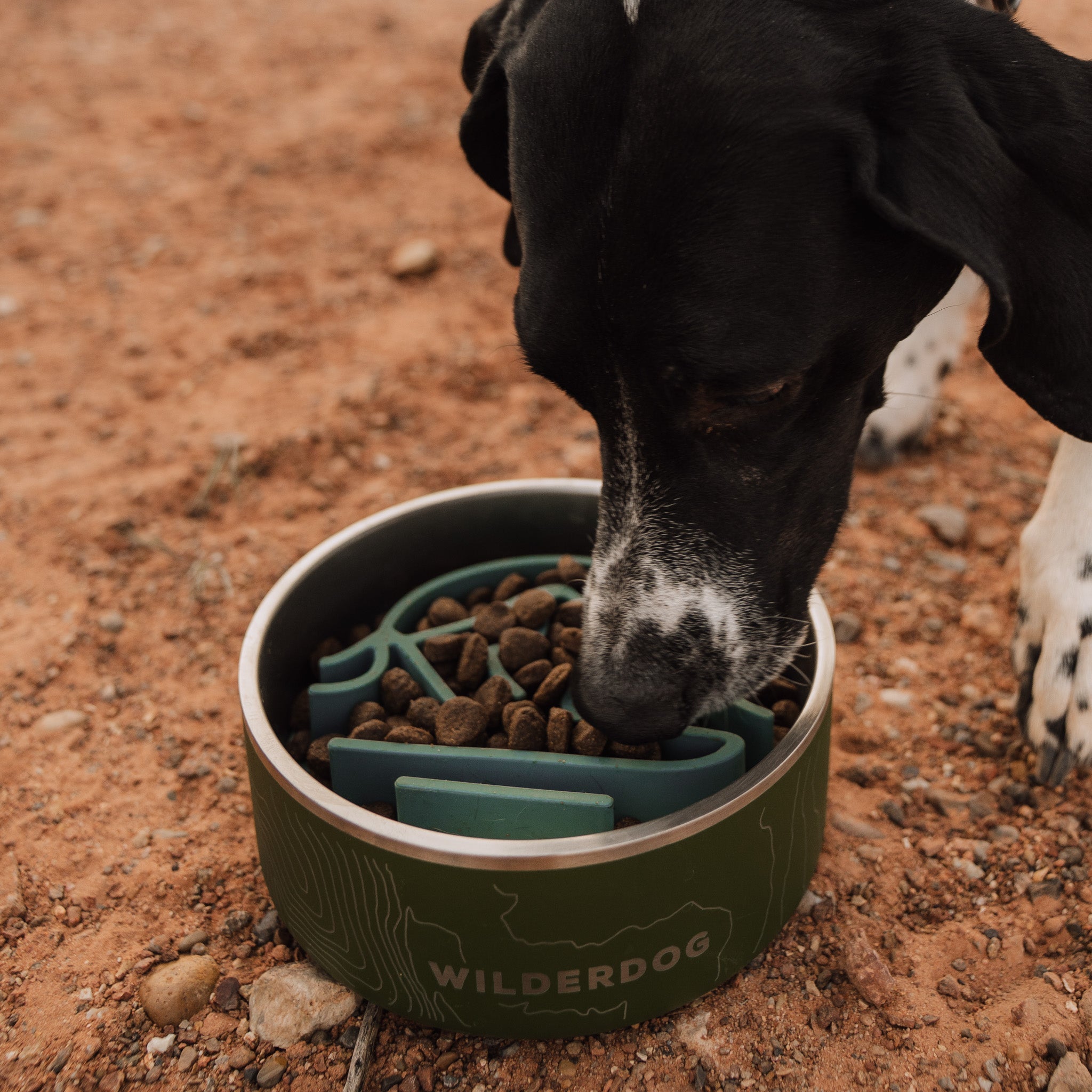 Silicone Slow Feeder Insert