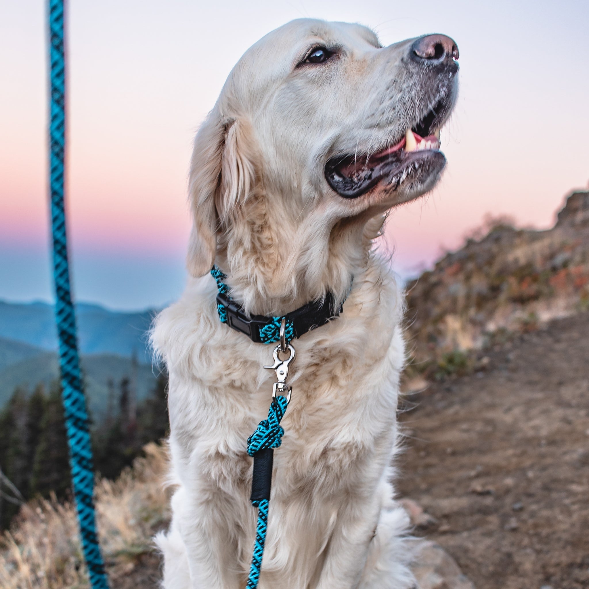 Teton Quick Clip Leash