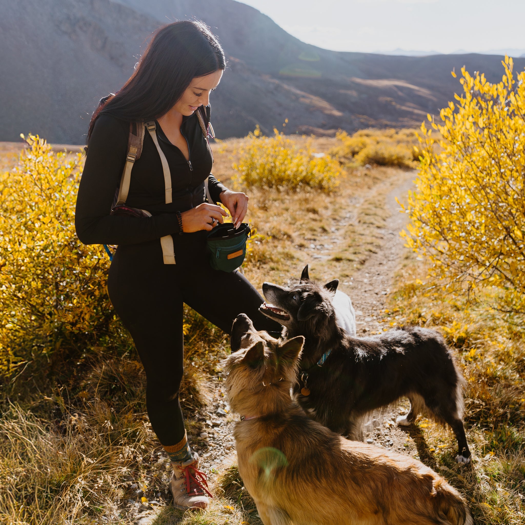 Dog Training Treat Pouch