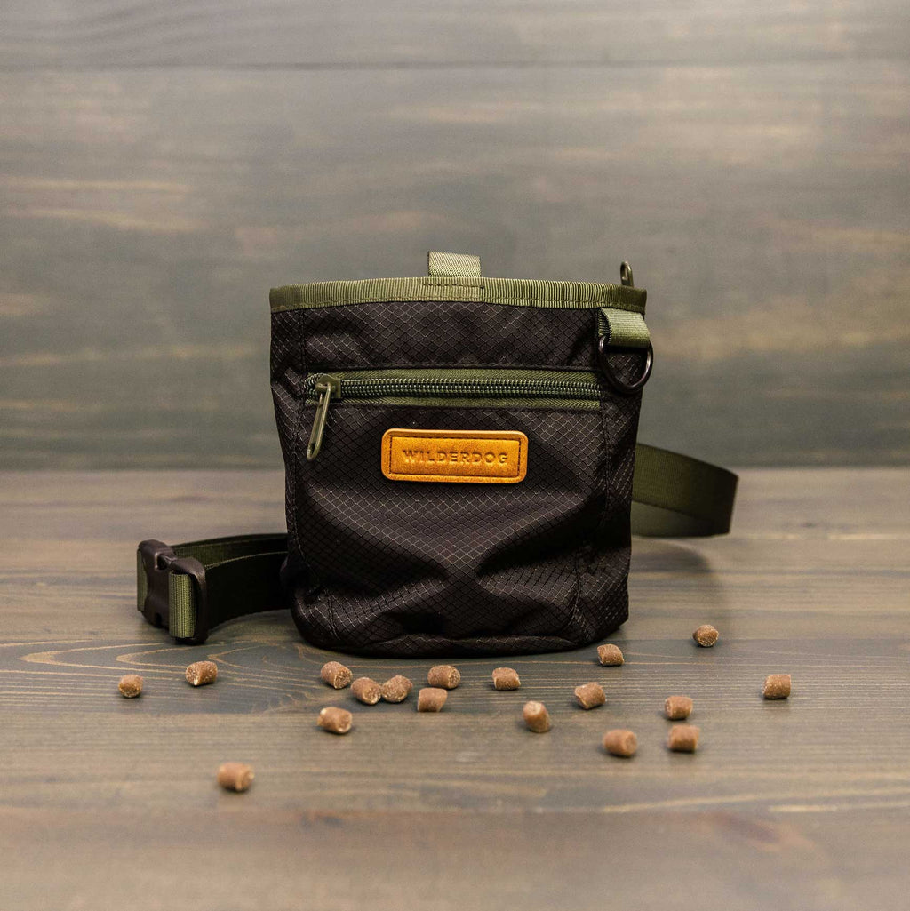 Dog Training Treat Pouch