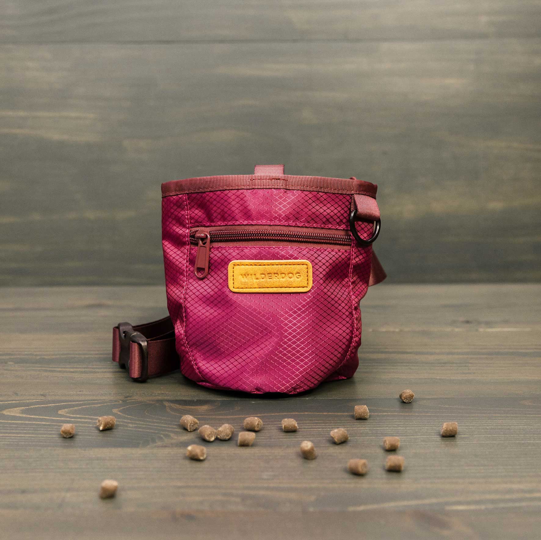 Dog Training Treat Pouch