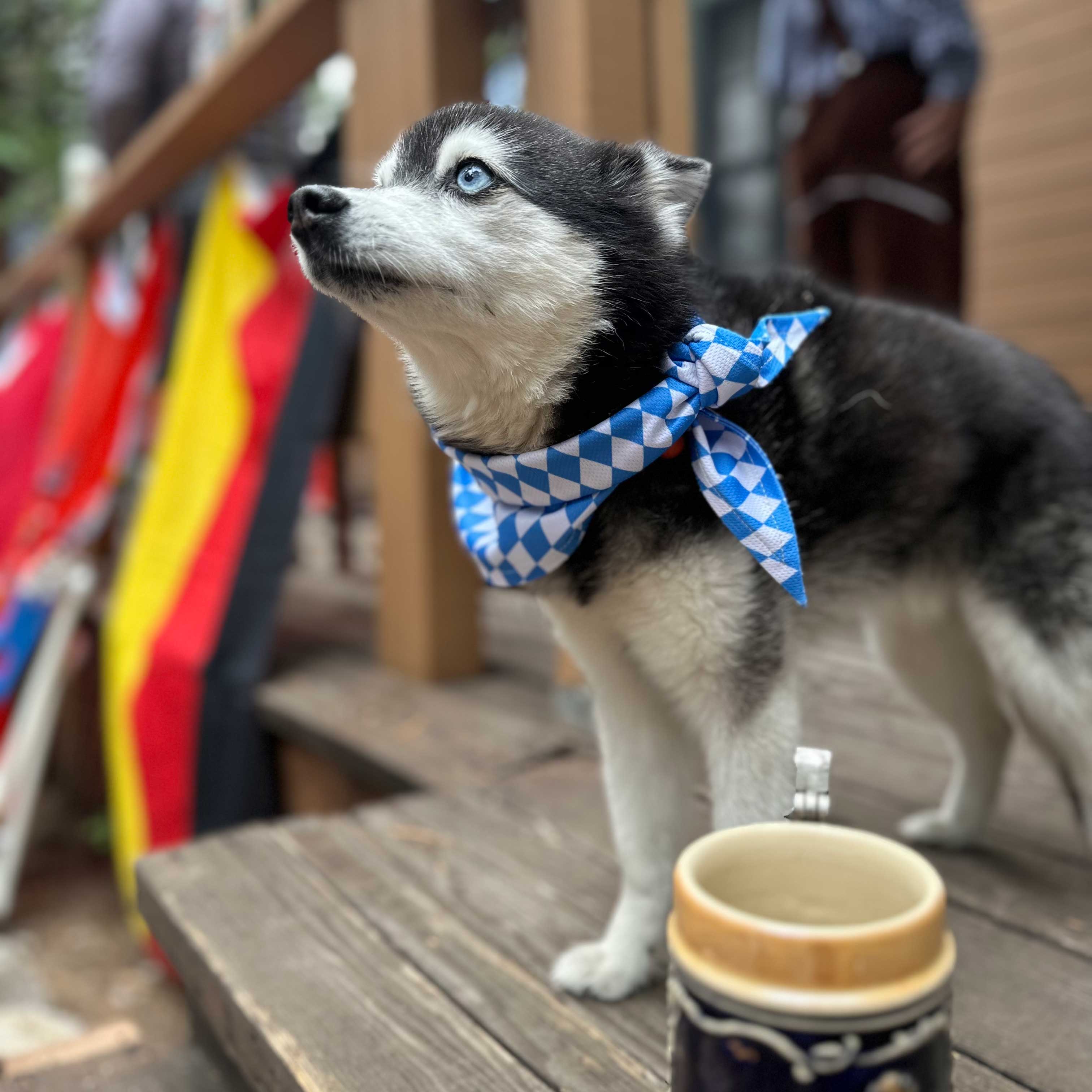 Oktoberfest Bandana